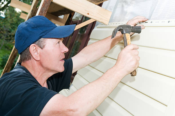 Best Brick Veneer Siding  in Idyllwild Pine Cove, CA